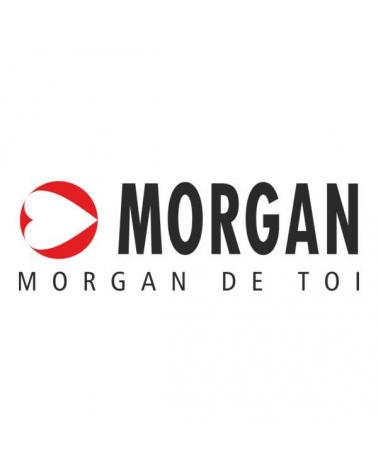 Logo von MORGAN