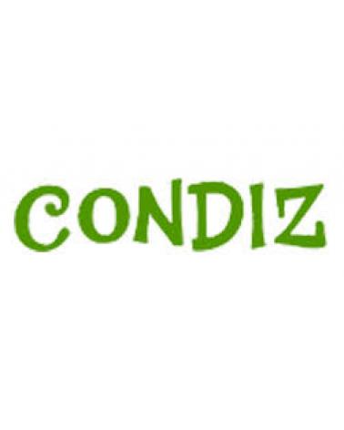 Logo von CONDIZ
