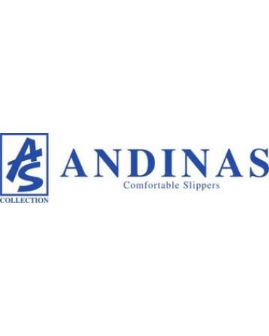 Logo von ANDINAS