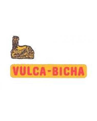 Logo von VULCA-BICHA