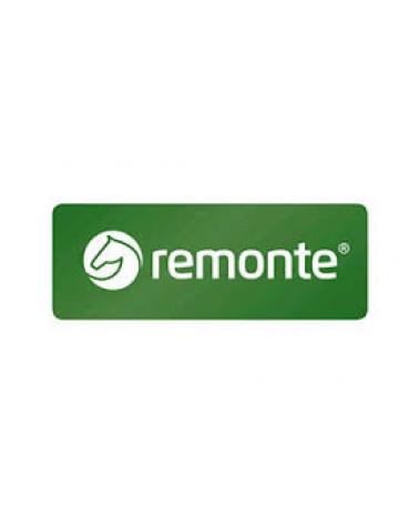 Logo von REMONTE