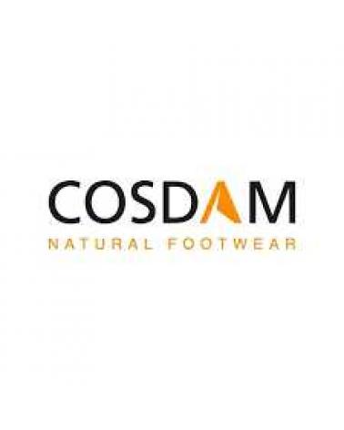 Logo von COSDAM