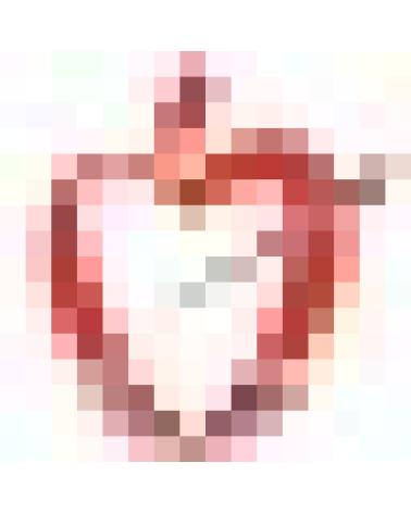 Logo di AGUSTINOS