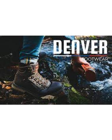 Logo von DENVER