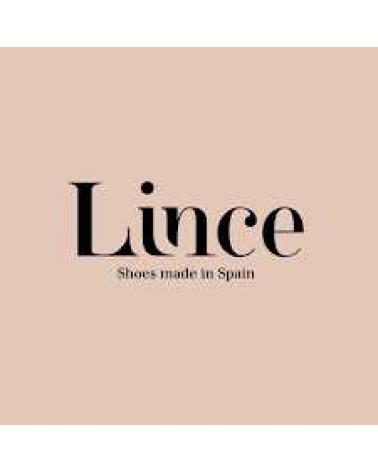 Logo von LINCE