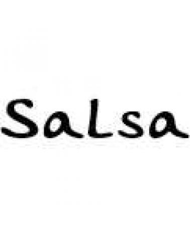 Logo von SALSA