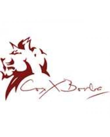 Logo von COXX BORBA