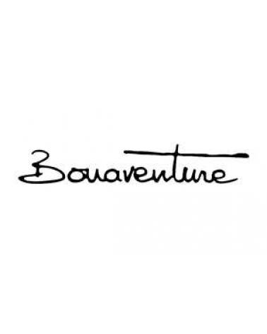Logo von BONAVENTURE