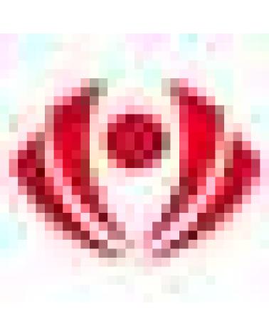 Logo von PANTER