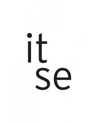 Logo von ITSE