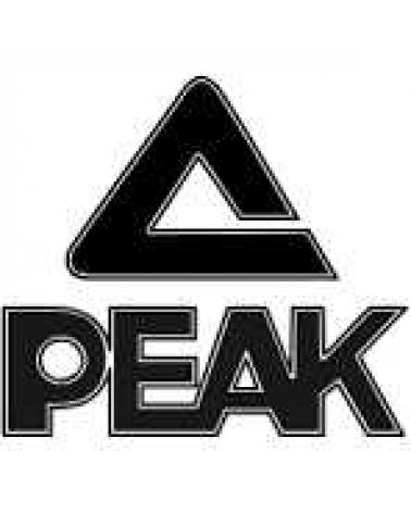Logo von PEAK