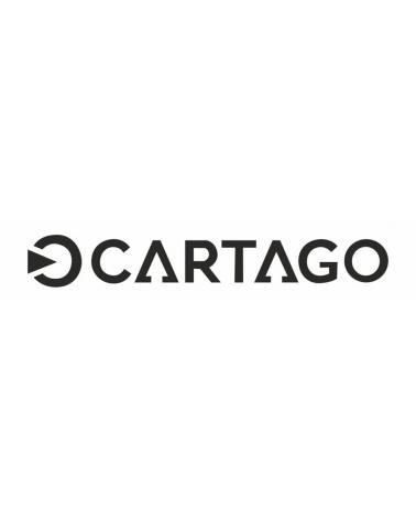 Logotipo de CARTAGO