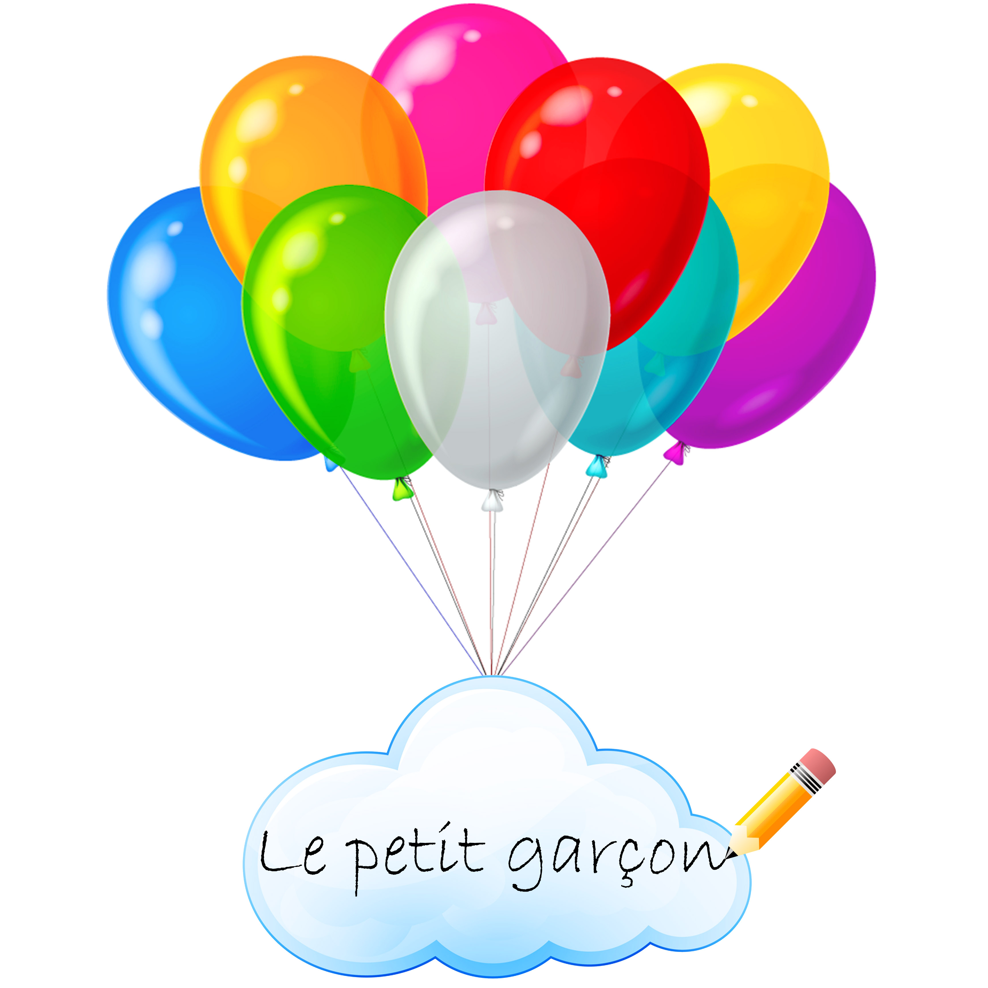 LE PETIT GARCON